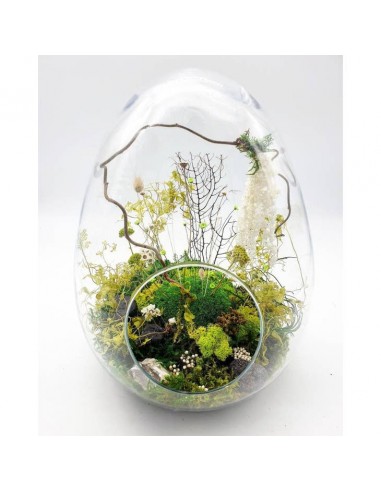 Terrarium Œuf Toutes les collections ici