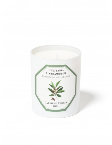 Bougie CARDAMOME de votre