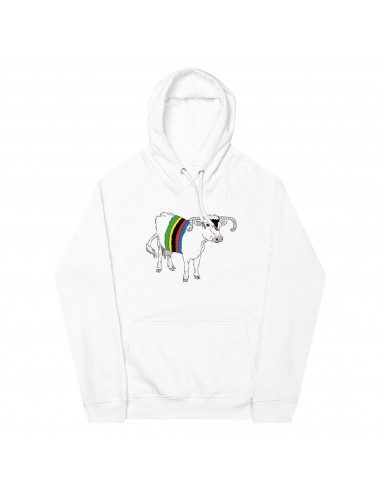 Rawhide Rainbow Eco Hoodie shop